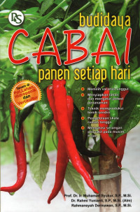 Budidaya Cabai penen tiap hari