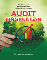 Audit lingkungan